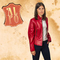 www.alpo.rs